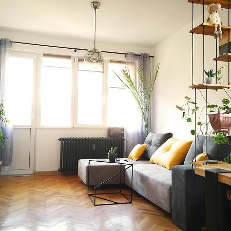 Sunny Downtown Apartment For 4 โซเฟีย ภายนอก รูปภาพ