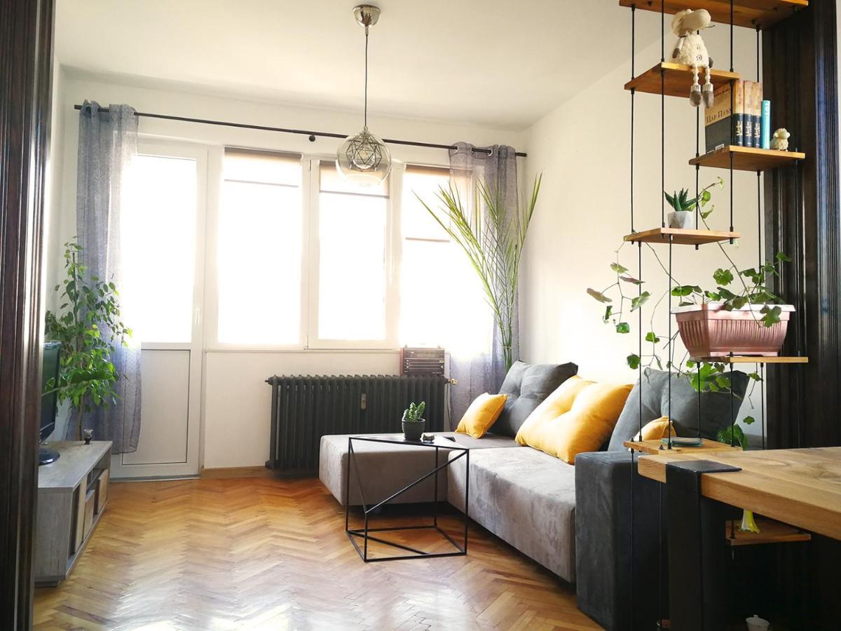Sunny Downtown Apartment For 4 โซเฟีย ภายนอก รูปภาพ