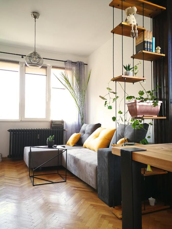 Sunny Downtown Apartment For 4 โซเฟีย ภายนอก รูปภาพ